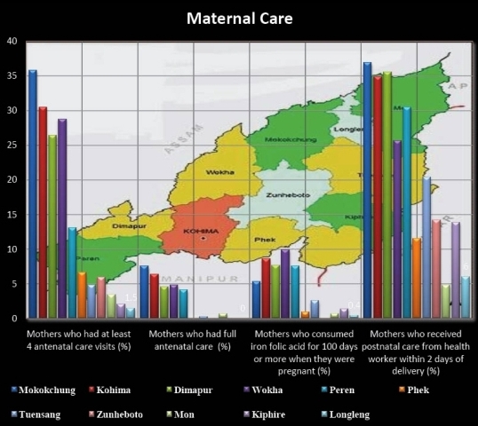 Nagaland: Regional disparities in healthcare
